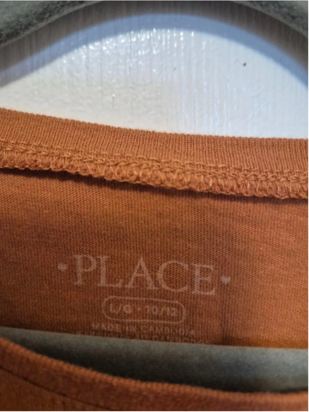Girls The Children's Place Brown Long Sleeve Tee Size 10